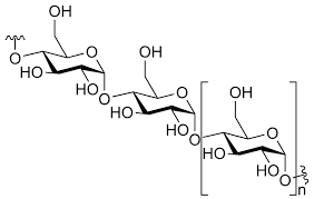 <p>Carbohydrate polymers made up of <strong>20 or more monosaccharide units</strong>. </p>