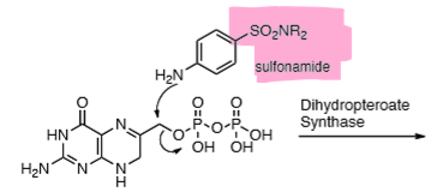 <p>The product is not capable of undergoing the next reaction --> No thymine</p>