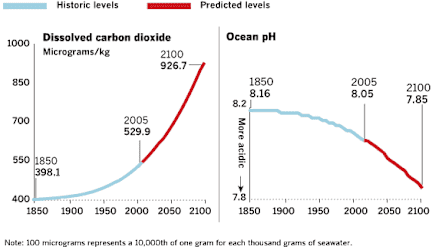 <p>Human activity has had a significant impact on the carbon cycle. Although we think of carbon emissions having an impact on the atmosphere, carbon emissions also impact Earth's oceans. The combustion of fossil fuels and land use changes have increased the flux of CO2 into the atmosphere. As noted in the graphs, the increases of CO2 in the atmosphere results in some of the excess being stored in the ocean, causing the pH of the ocean to decrease. Review the choices and check each one that describes an effect of ocean acidification.</p>