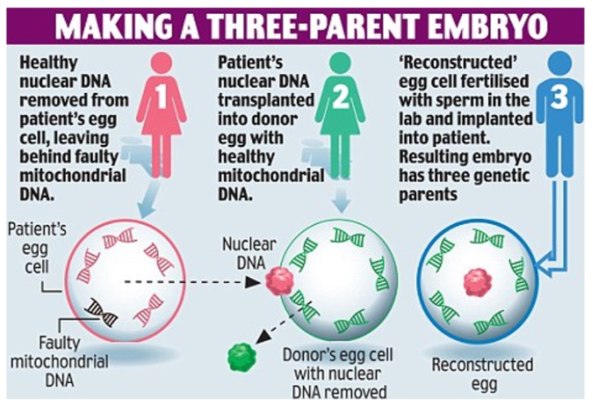 <p><span>Oocyte donation, prenatal diagnosis, PGD, mitochondrial replacement therapy (MRT/“three-parent babies”).</span></p>
