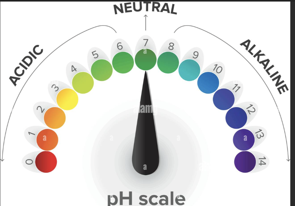 <ul><li><p>The pH of the blood from an <strong><u>artery </u></strong>should be:</p><ul><li><p>7.35-7.45</p></li></ul></li><li><p>The pH of the blood from a <strong><u>vein </u></strong>should be</p><ul><li><p>7.31-7.41</p></li></ul></li><li><p>Ph</p><ul><li><p>acidic when it is low</p></li><li><p>Alkaline aka basic when it is high</p></li></ul></li></ul><p></p>