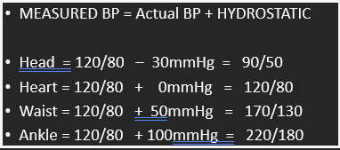<p>The arterial pressure of a standing patient is 120mmHg. What would be the BP at the ankle?</p>