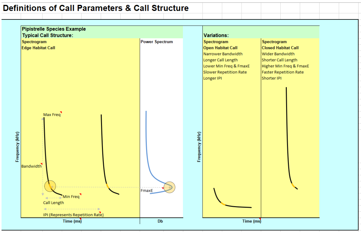 <p>In open habitats, calls will be longer duration and shorter bandwidth to aid navigation.</p><p></p><p>In edge habitats, duration may decrease and bandwidth increased to gain more detail.</p><p></p><p>In cluttered habitats, calls are shortest and have the highest bandwidth as the bat increases repetition rate while avoiding obstacles.</p>