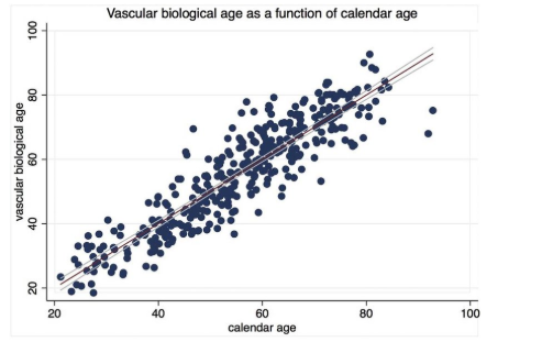 <p>What graph is this?</p>