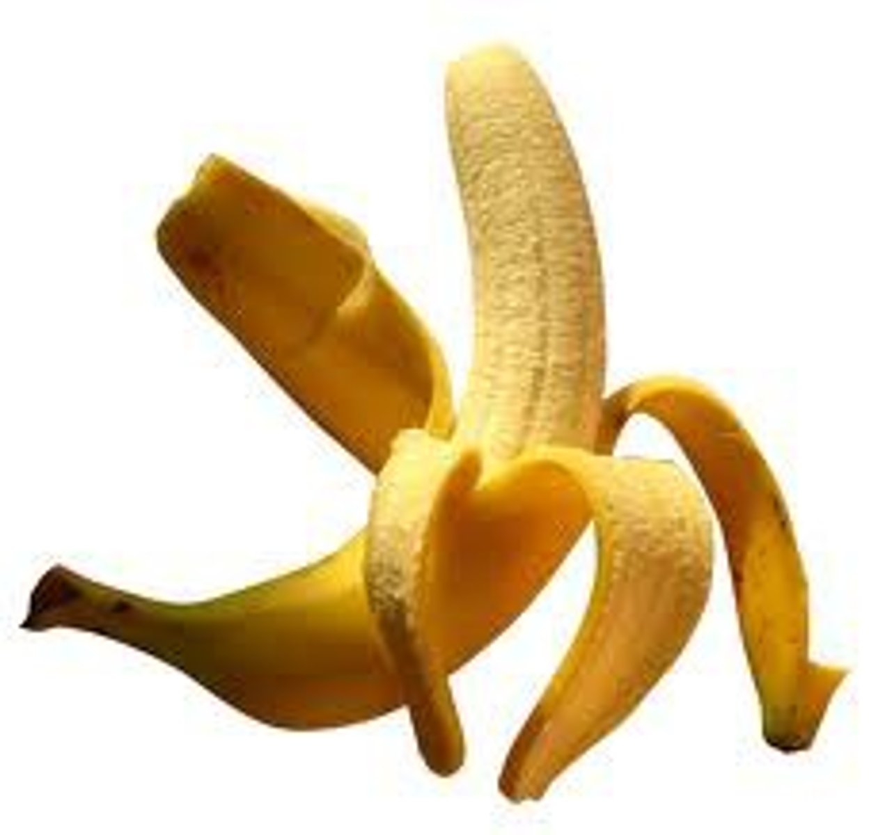 <p>Previously the banana that was used for export (1940's - 1950's) until a fungal infection wiped it out so that it was only available to locals</p>
