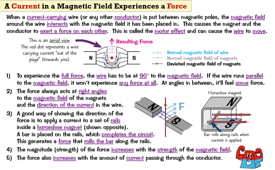 <ul><li><p>The force always acts at right angles to the magnetic field of the magnets and the direction of the current in the wire.</p></li><li><p>A good way of showing the direction of the force is to apply a current to a set of rails inside a horseshoe magnet (shown opposite). A bar is placed on the rails, which completes the circuit. This generates a force that rolls the bar along the rails.</p></li><li><p>The magnitude (strength) of the force increases with the strength of the magnetic field.</p></li><li><p>The force also increases with the amount of current passing through the conductor.</p></li></ul><p></p>