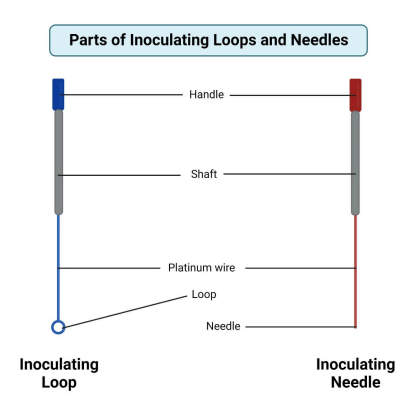 <p>LOOP AND WIRE</p>
