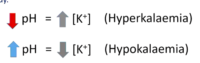 <p>Acid base disturbances affect distribution of K+ within the body</p><ul><li><p>Acidosis causes K* to move from cells to extracellular fluid (plasma) <strong>in exchange for hydrogen ions</strong>, and alkalosis causes the reverse movement of K+ and H+ ions</p></li></ul><p></p><p>Cl- depletion can also maintain a metabolic alkalosis (eg after vomiting has stopped) </p><ul><li><p>because in absence of Cl- , kidney must reabsorb HCO3 with Na+ to maintain electroneutrality</p><ul><li><p>BAD; with alkalosis, you donāt want to REABSORB bases, youād want to excrete them⦠but because of the change in electricity from the loss of Cl-, your body has no other choice</p></li></ul></li></ul><p></p>