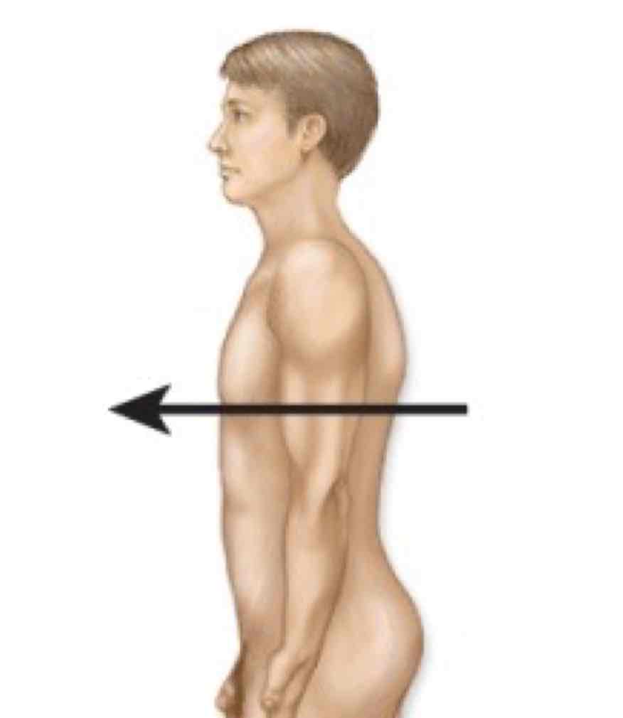 <p>Towards front of the body</p>