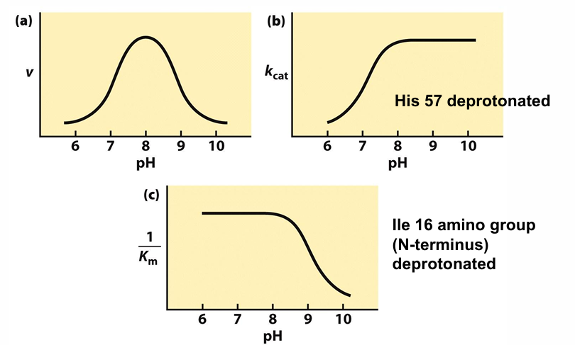<p>explain what the plots mean</p>