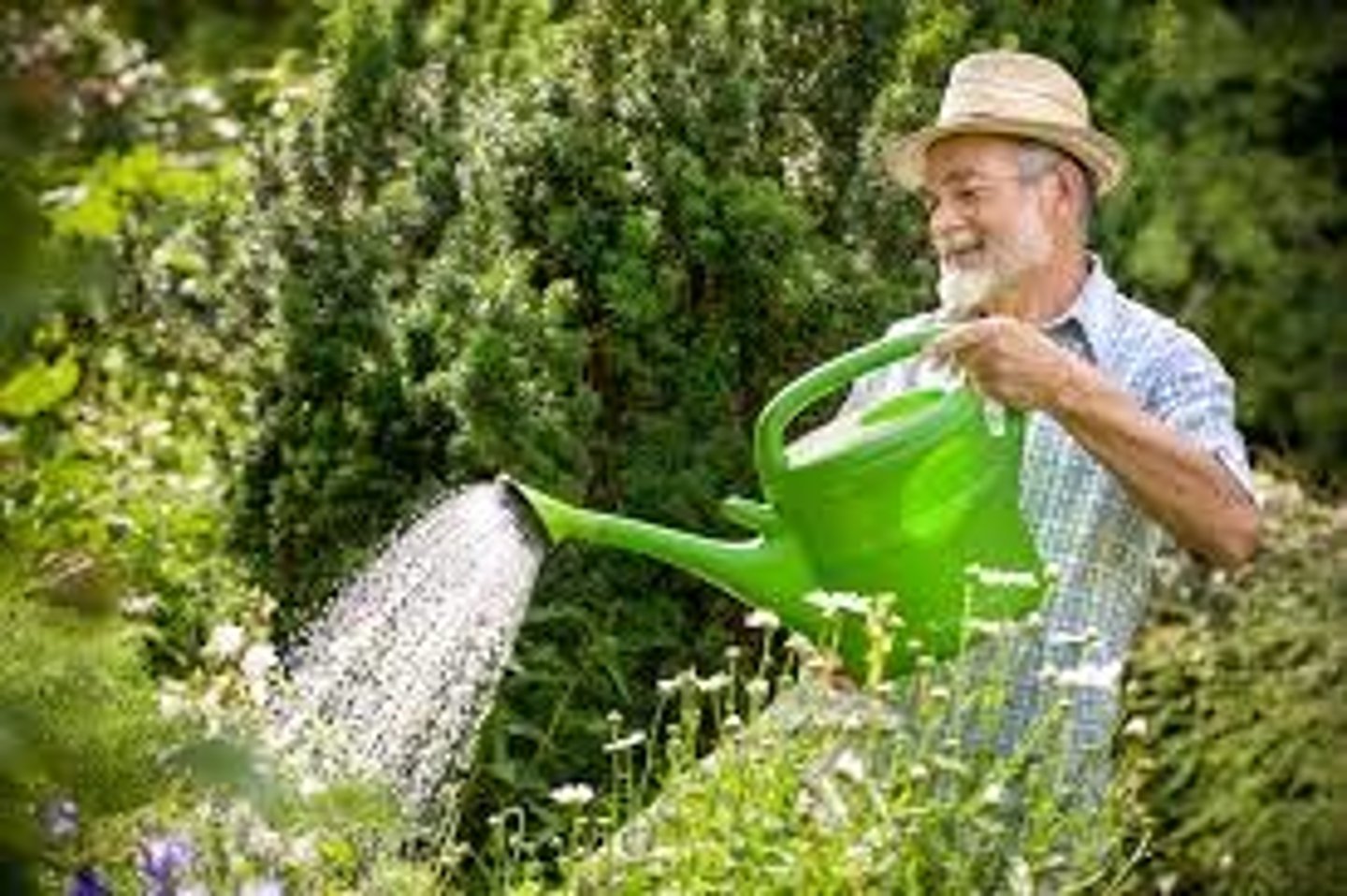 <p>to water the plants</p>