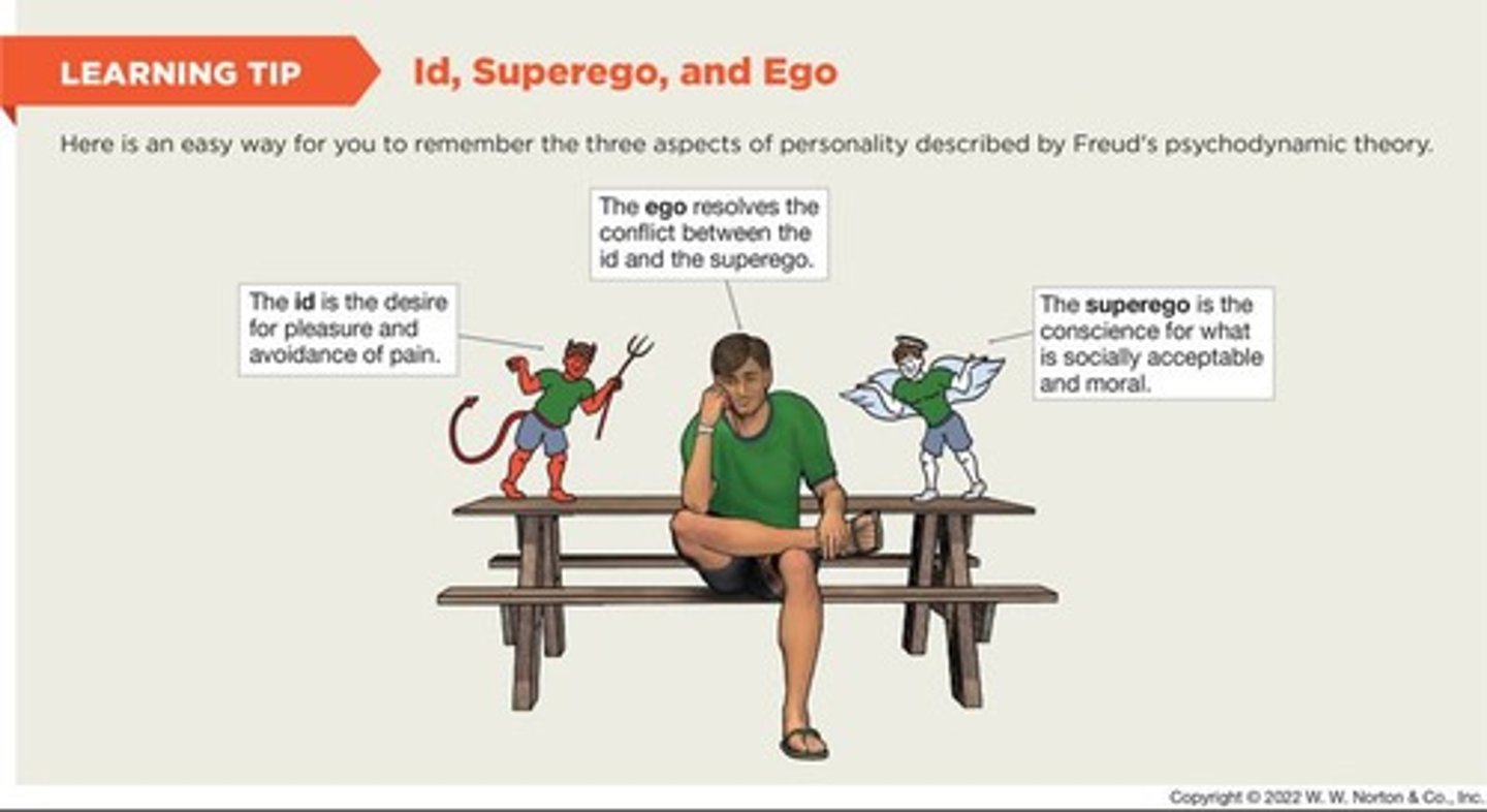 <p>In psychodynamic theory, the component of personality that is completely submerged in the unconscious and operates according to the pleasure principle.</p>