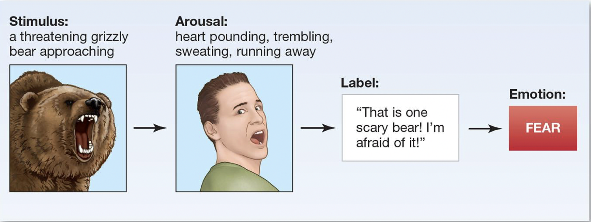 <p>a label applied to psychological arousal results in the experience of an emotion</p>