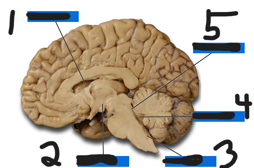 <p>what is number 3</p>