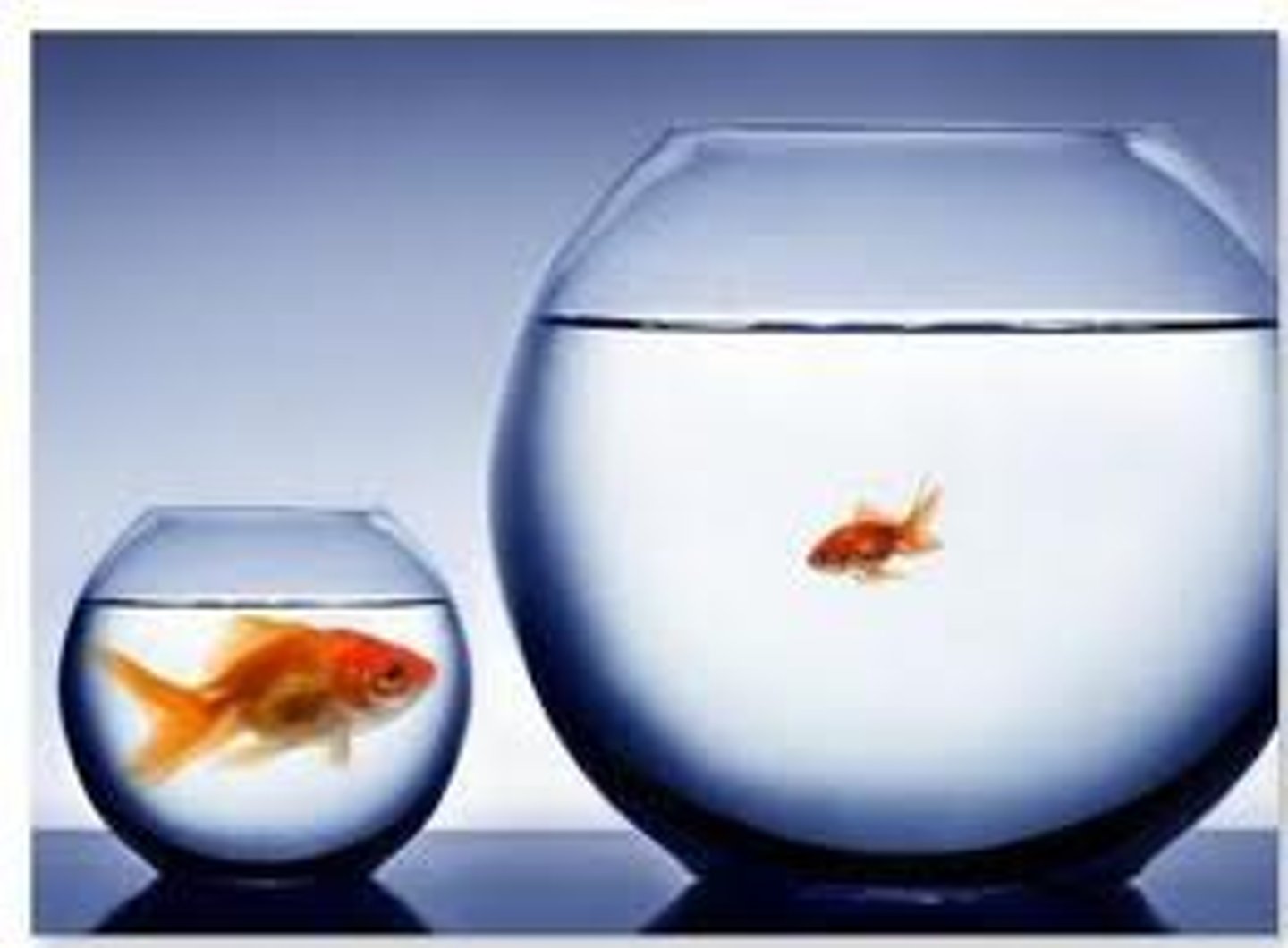 <p>It's not fair!</p>