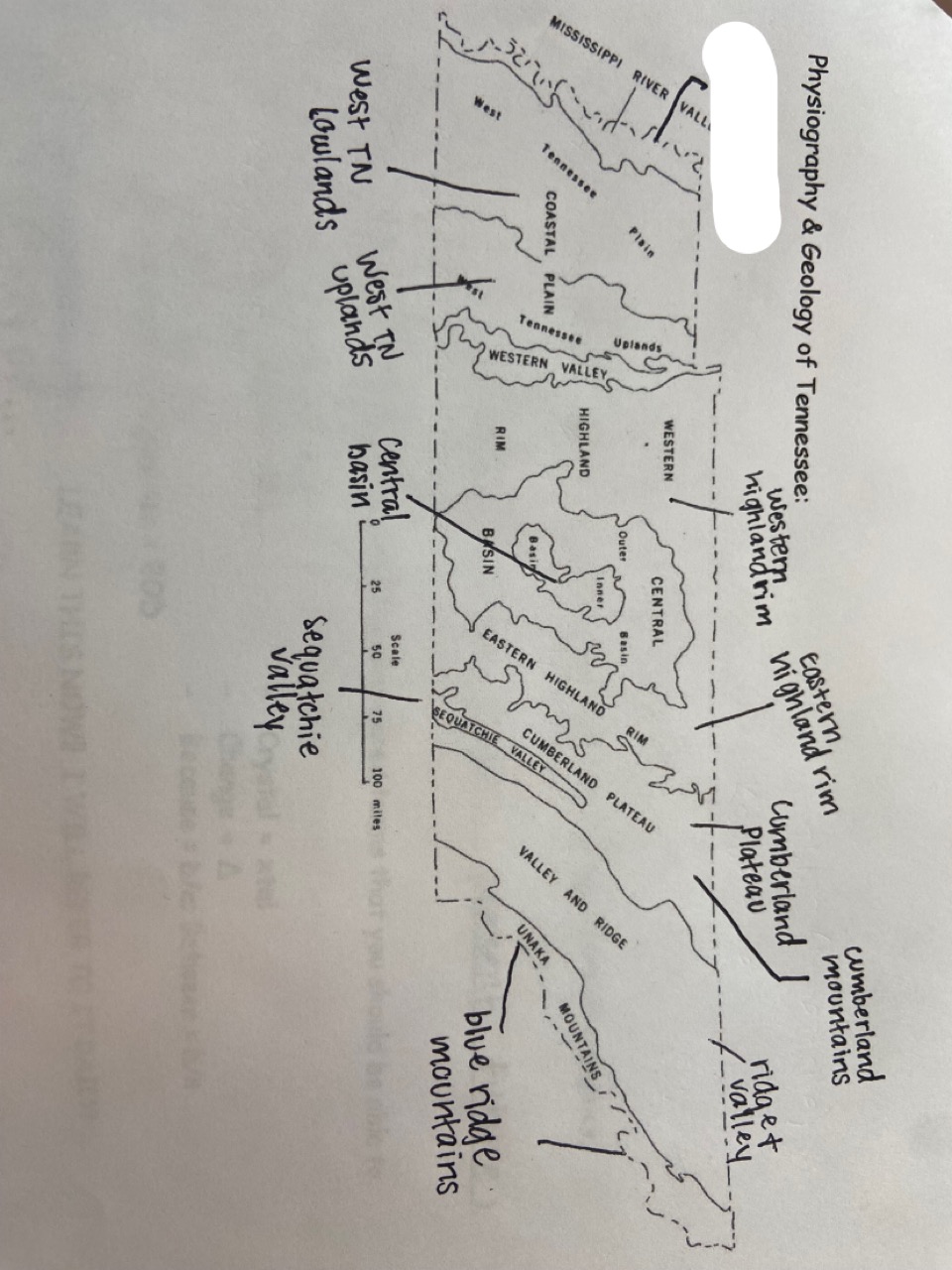 which one is marked out?