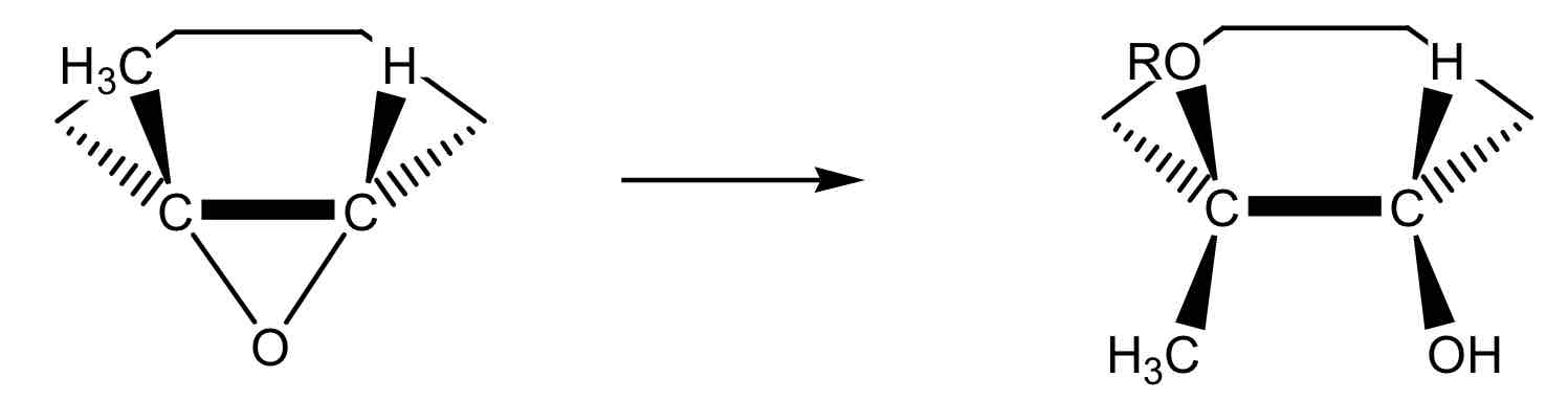 <p></p>