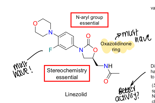 <p>Stereochemistry essential, N-aryl group and oxazolidinones ring also key </p>