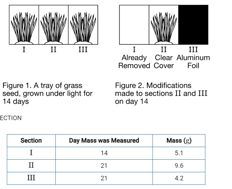 <p>(CLUSTER) Which of the following is an appropriate null hypothesis for the student’s experiment?</p><p>A) The absence of light negatively affects the mass of the grass.</p><p>B) An increase in light promotes grass growth.</p><p>C) A change in light intensity changes the rate of grass growth.</p><p>D) The presence of light has no effect on the mass of the grass.</p>