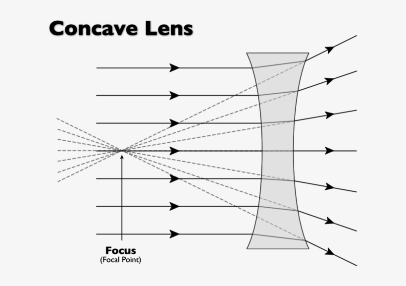 <p>A lens with the glass surface curved inward</p>