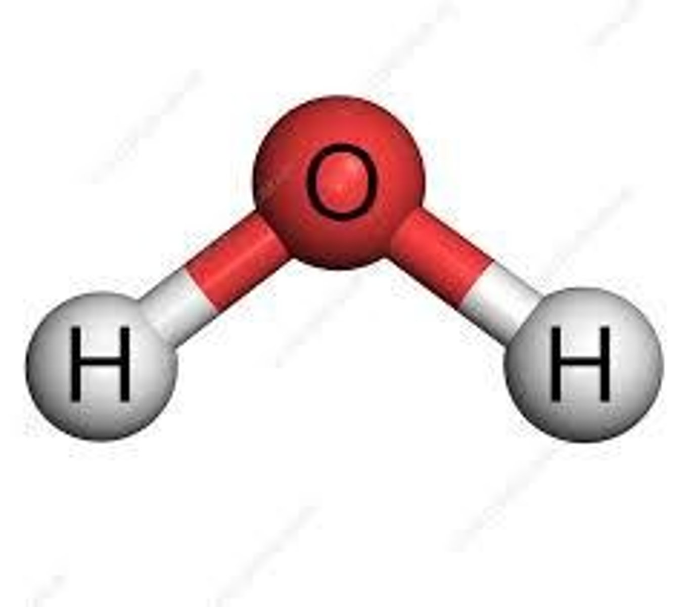 <p>molecules that are composed of different types of elements/atoms.</p>