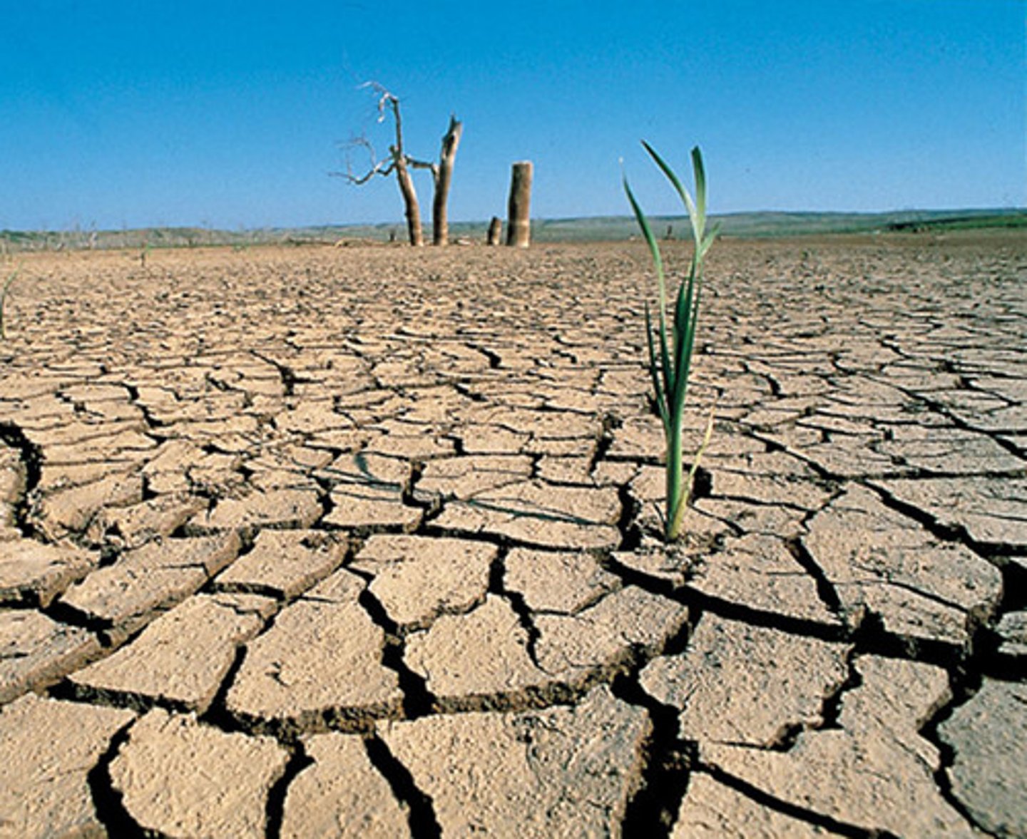 <p>tiempo seco, sin lluvias, de larga duración</p>
