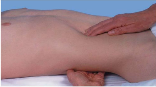 <p><strong>Kidney Exam: Palpation</strong></p><p>-Search for the kidney by placing your hands together in a “duck-bill” at the person’s right flank. Press your ___ hands together firmly (you need ________ palpation than that used with the liver or the spleen) and ask the person to take a deep breath.</p><p>-In most people you will feel __ changes. Occasionally you may feel the lower pole of the right kidney as a round, smooth mass that slides between your fingers. Either condition is<strong> </strong>_______.</p><p>-A normal right kidney may be _________, especially when the patient is ____ and the abdominal muscles are relaxed. To capture the right kidney, return to the patient’s right side. Use your left hand to lift up from the back, and your right hand to feel deep in the ___. Proceed as before.</p>