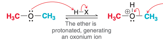 <p>The image depicts the ___ step of acidic cleavage.</p>