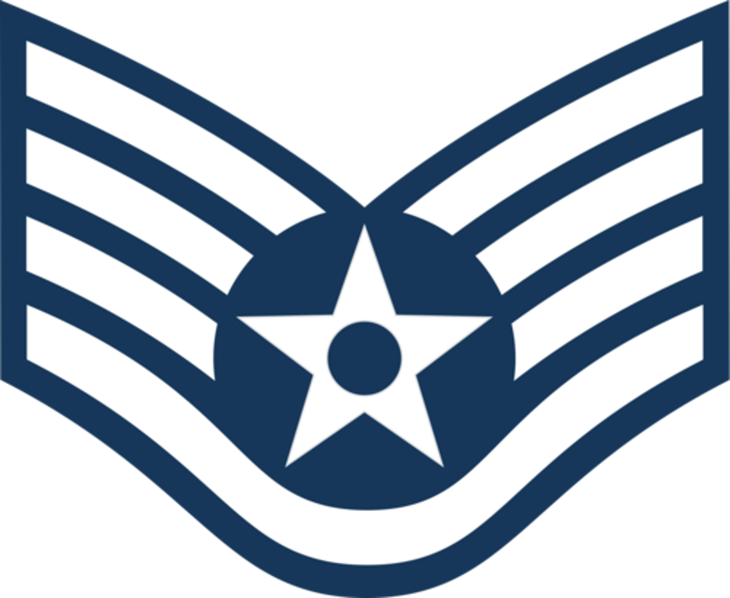 <p>Space Force: E-5</p>