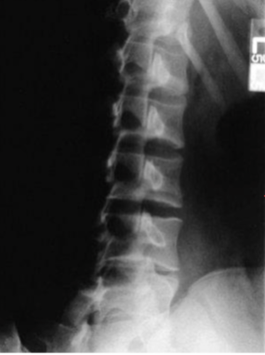 <p>What view is this?</p>