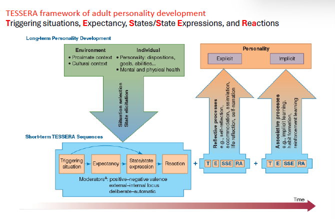 <ul><li><p>Long-term personality development is the product of repeated short-term, situational processes</p></li><li><p>These short-term processes differ across people</p></li><li><p>Some people show changes in personality traits and others do not </p></li></ul><p></p>