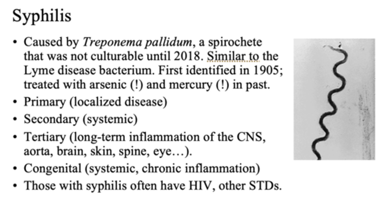 <p>Congenital syphilis</p>