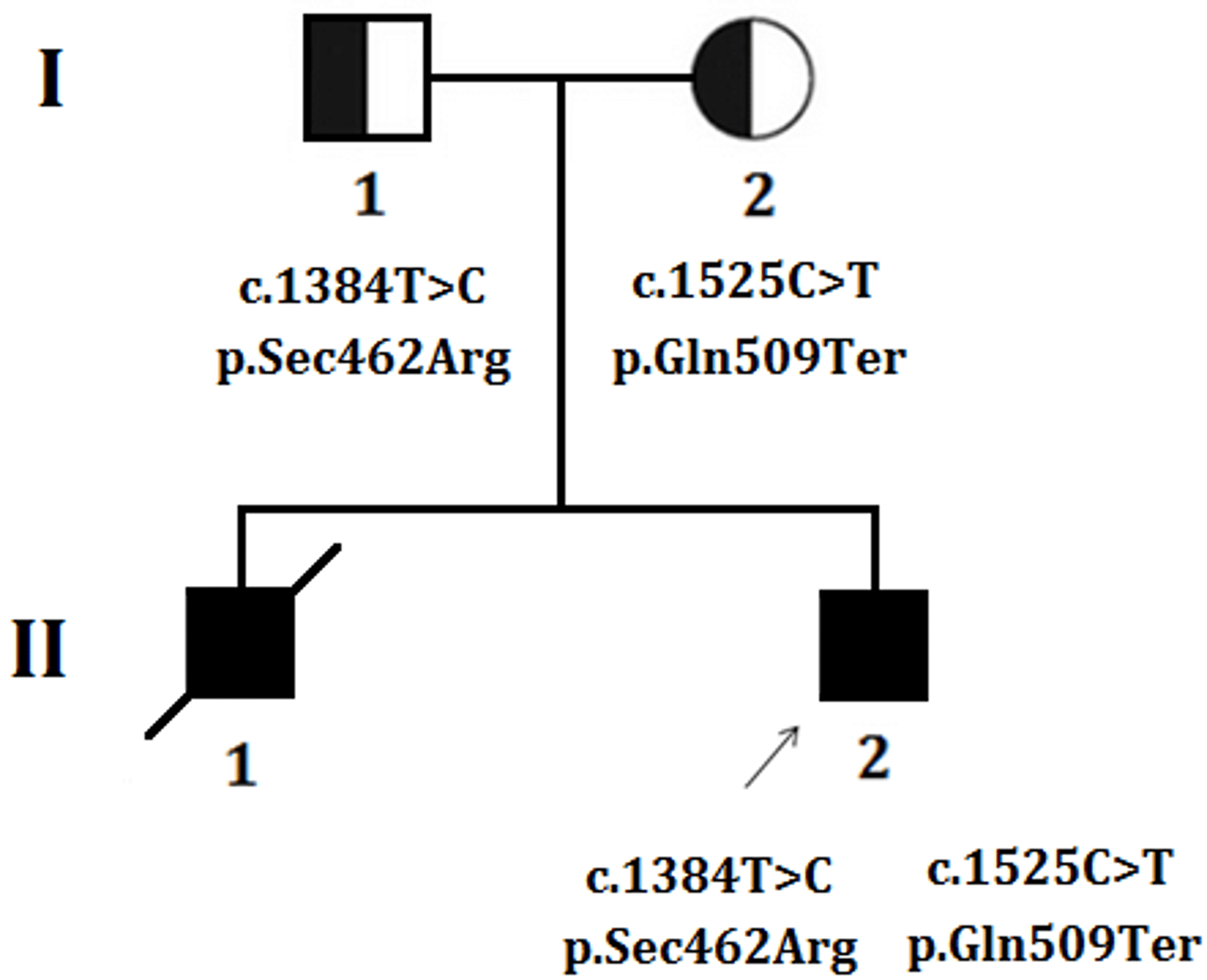 <p>What is the component of a female with a hybrid?</p>