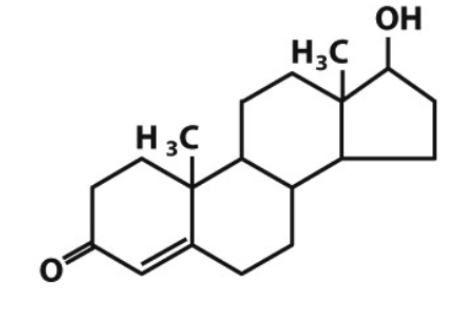 identify the following steroidal molecule:

a) testosterone

b) estradiol

c) 25-hydroxyvitamin D3

d) cortisol

e) progesterone