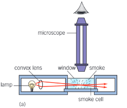 <ul><li><p>Particles of smoke are large enough to be seen under a microscope moving randomly</p></li><li><p>The random motion is caused by air molecules striking the smoke particles, of which are also in random motion</p></li></ul><p></p>