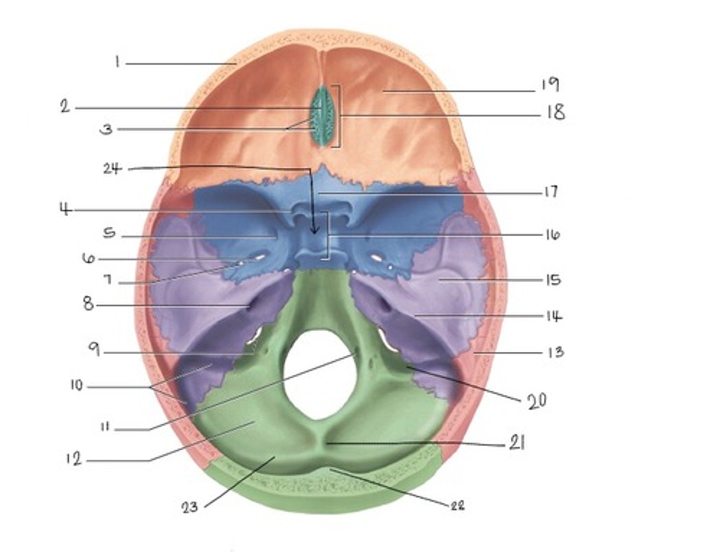 <p>What is label 19?</p>