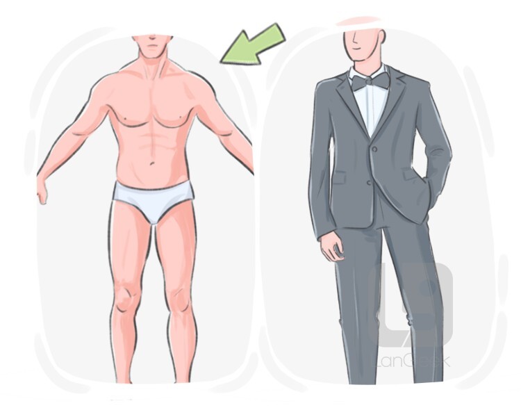 <p><span style="background-color: transparent;"><span>desnudo, básico</span></span></p>