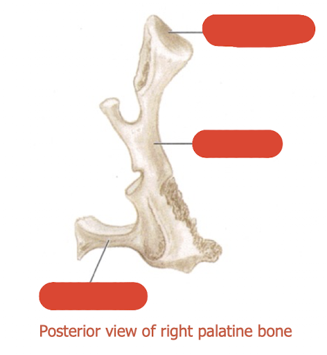 <p>label this diagram </p>