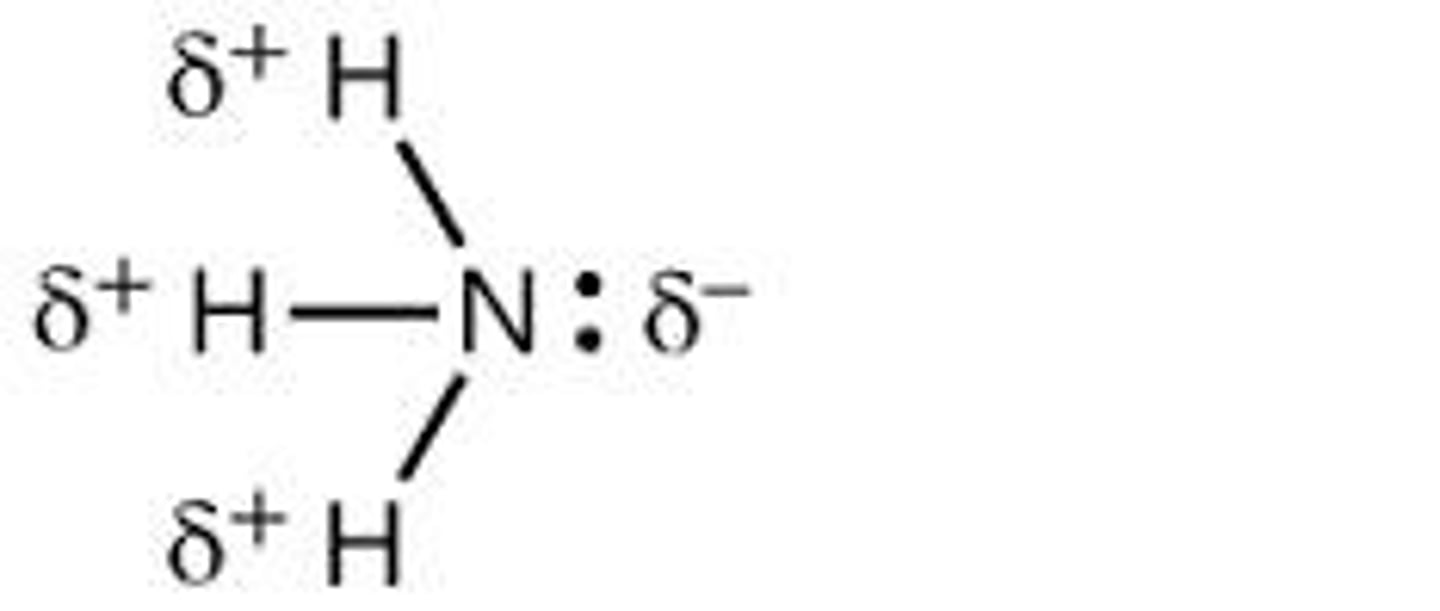 <p>serve as hydrogen bond donors.</p>