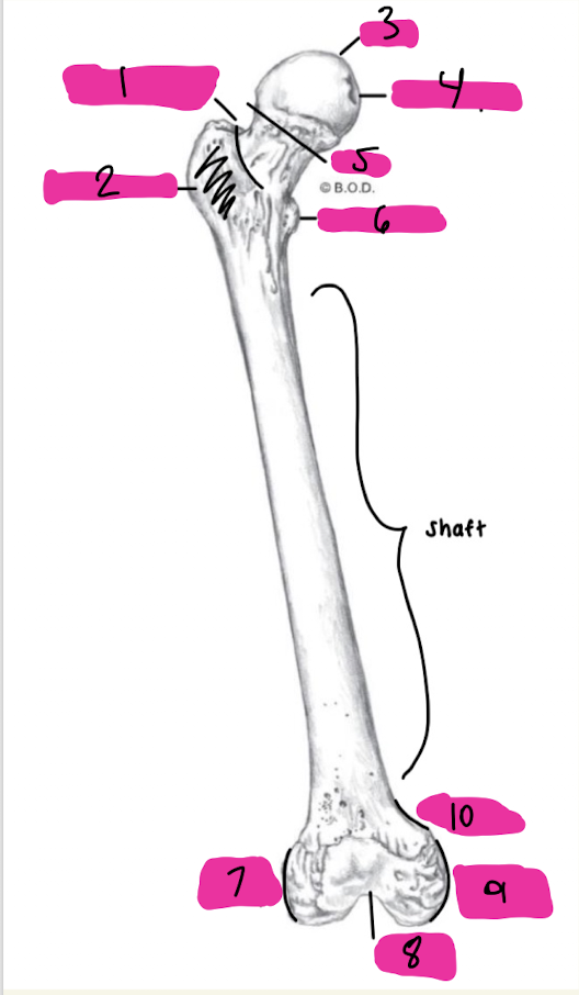 <p>4</p>