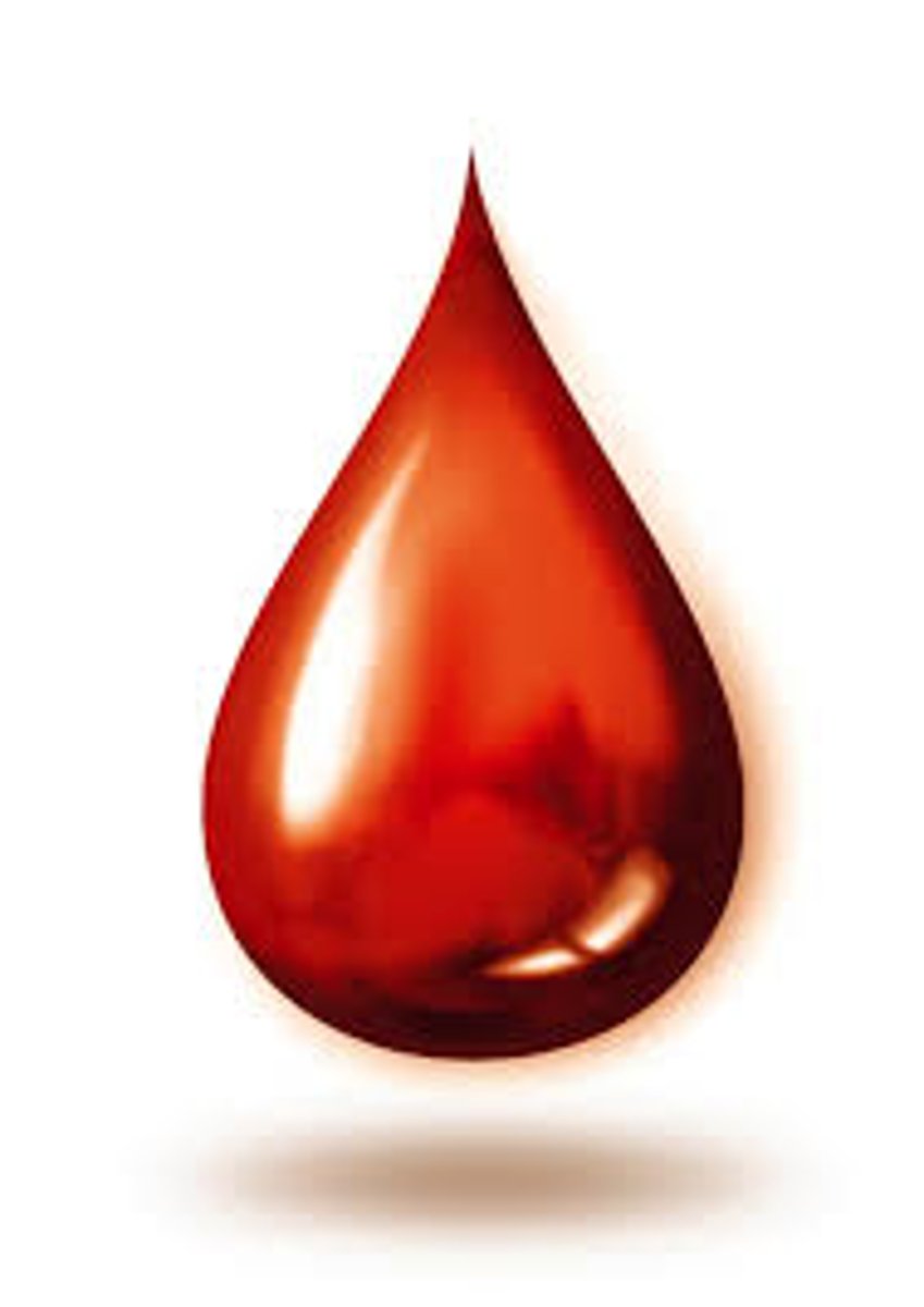 <p>blood</p>