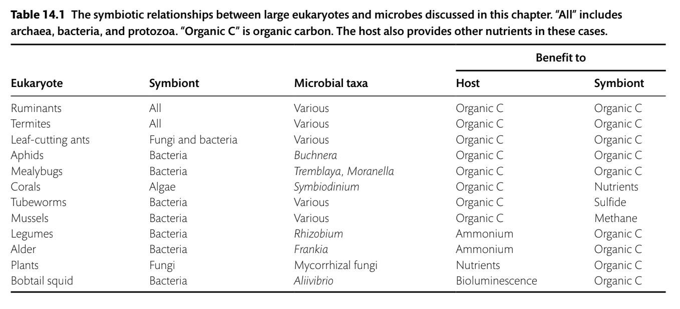 <p>The benefit to corals in their symbiotic relationship with zooxanthellae.</p>