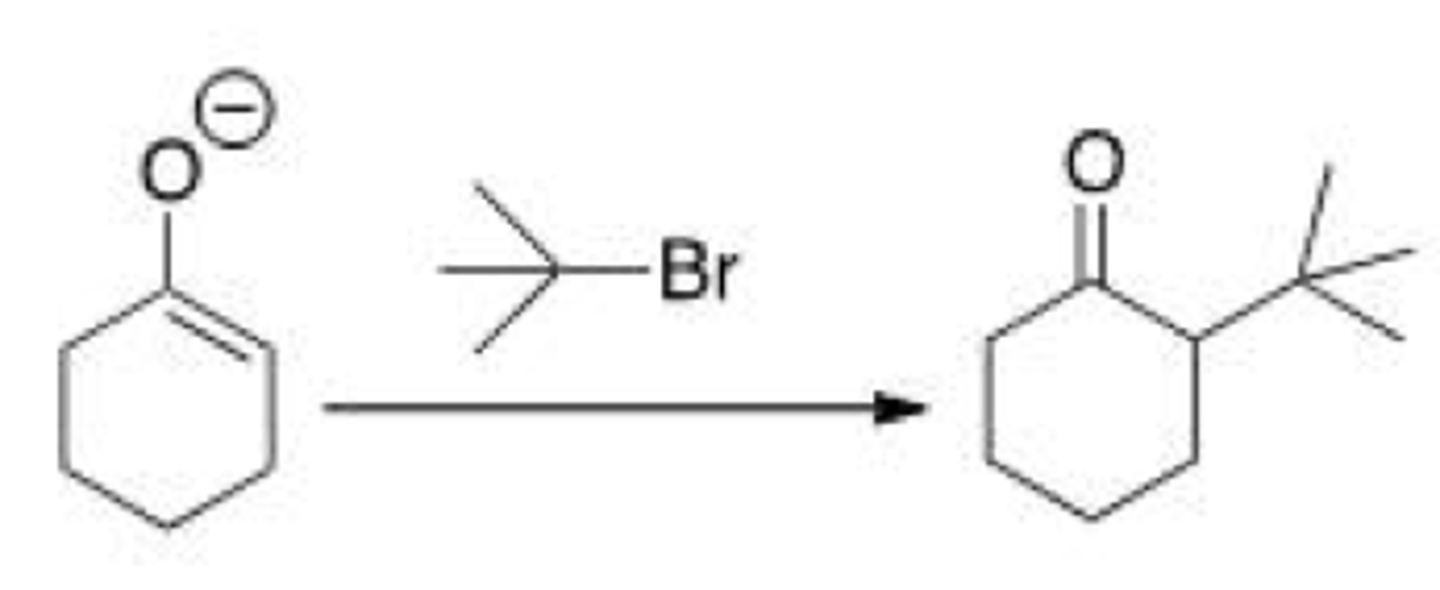<p>Why can't you prepare 2-tert-butylcyclohexanone by the following reaction?</p><p>A. Because tert-butyl bromide is too basic.</p><p>B. Because tert-butyl bromide cannot undergo an SN2 reaction.</p><p>C. Because tert-butyl bromide is a nucleophile.</p><p>D. Because tert-butyl bromide is not a stable compound.</p>