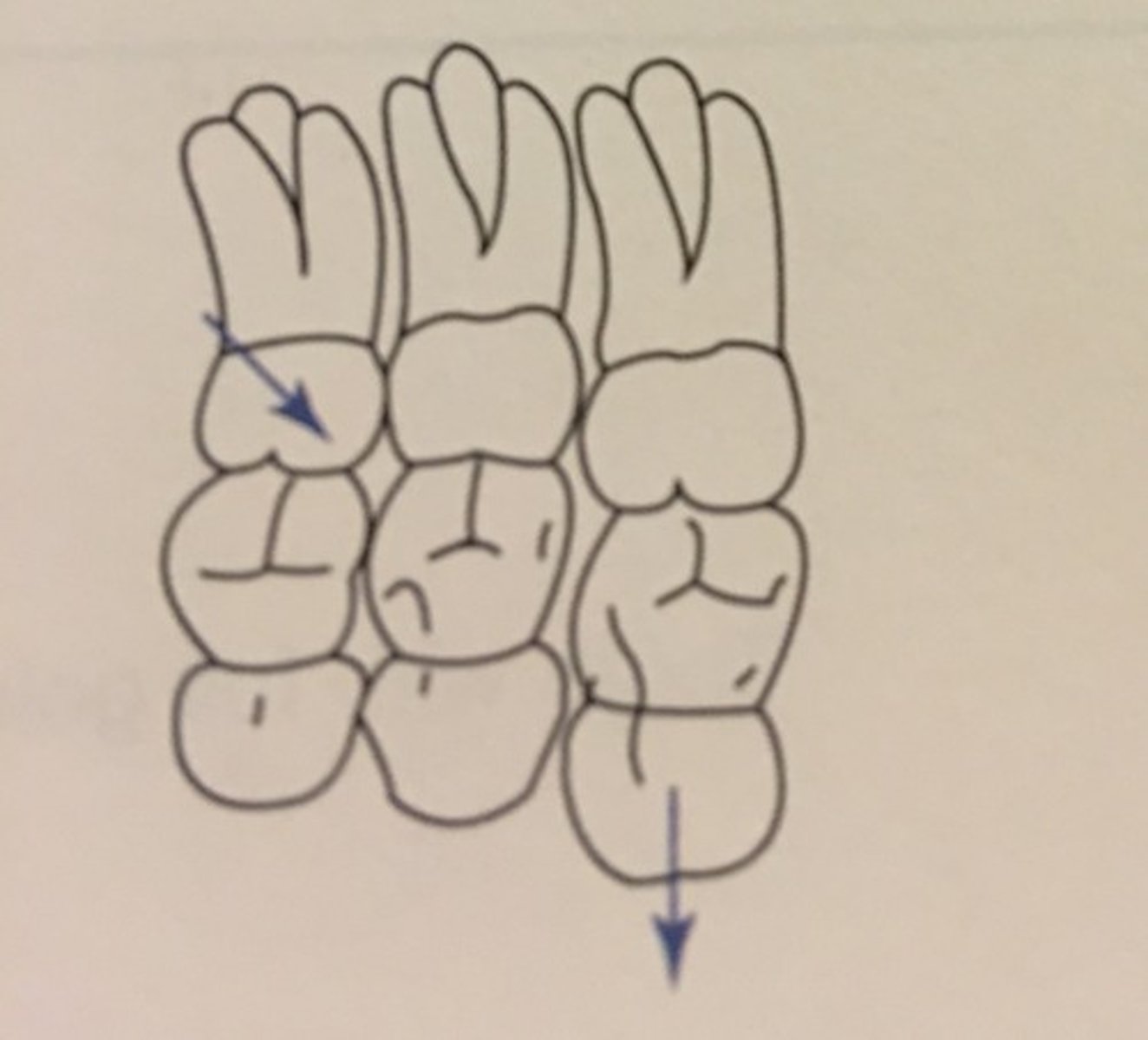 knowt flashcard image