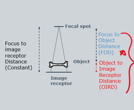 <ul><li><p>x-ray beam diverges with distance from tube</p></li><li><p><strong>position part of interest as close to receptor as possible - clear and accurate image</strong></p></li></ul><p class="Paragraph WhiteSpaceCollapse SCXP37954117 BCX0" style="text-align: left">to minimise magnification:</p><ul><li><p class="Paragraph WhiteSpaceCollapse SCXP37954117 BCX0" style="text-align: left">minimal OIRD (object to image receptor distance)</p></li><li><p class="Paragraph WhiteSpaceCollapse SCXP37954117 BCX0" style="text-align: left">maximal FOD (focus to object distance)</p></li></ul><p></p>
