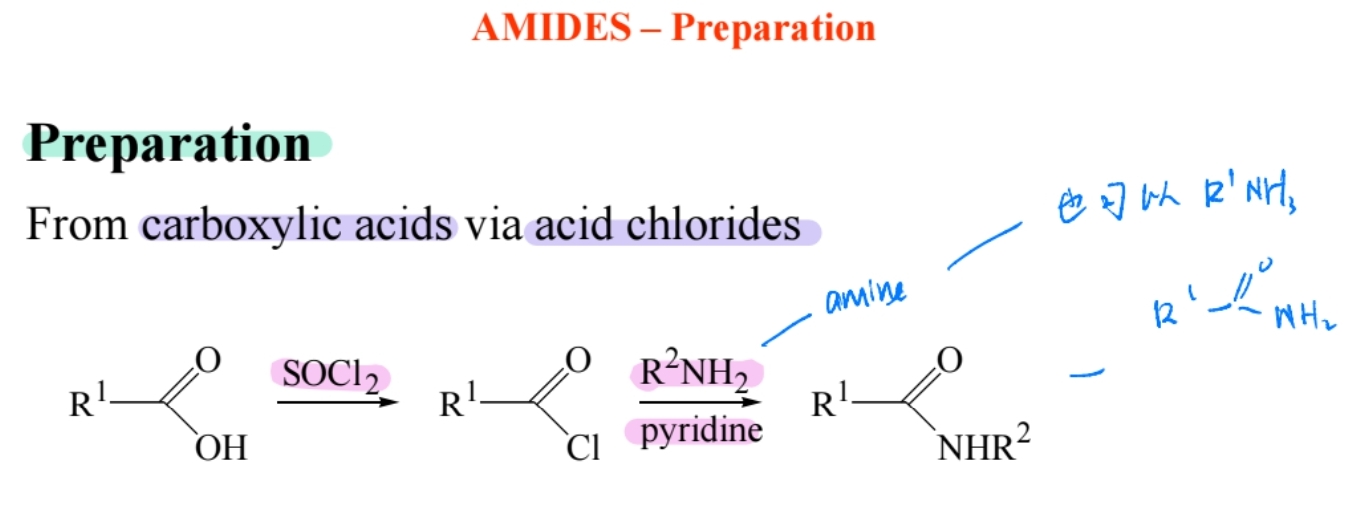 <p><span>Reaction of acid chlorides with amines forms amides.</span></p>