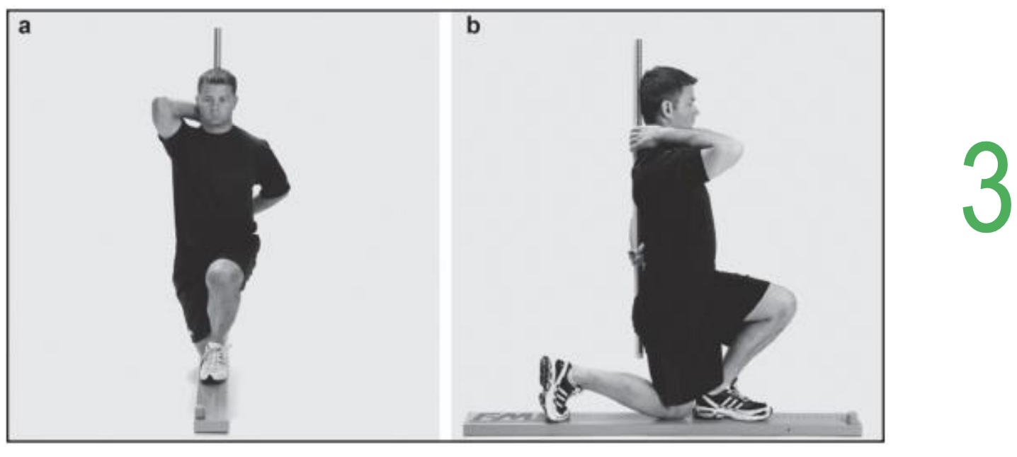 <p><strong>-Purpose:</strong> Assess torso, hip, knee, and ankle stability under load. </p><p><strong>-Key Observations:</strong> Coordination between upper and lower body. </p><p><strong>-Common Compensations: </strong>Trunk deviation, Loss of balance, Shallow depth.</p>