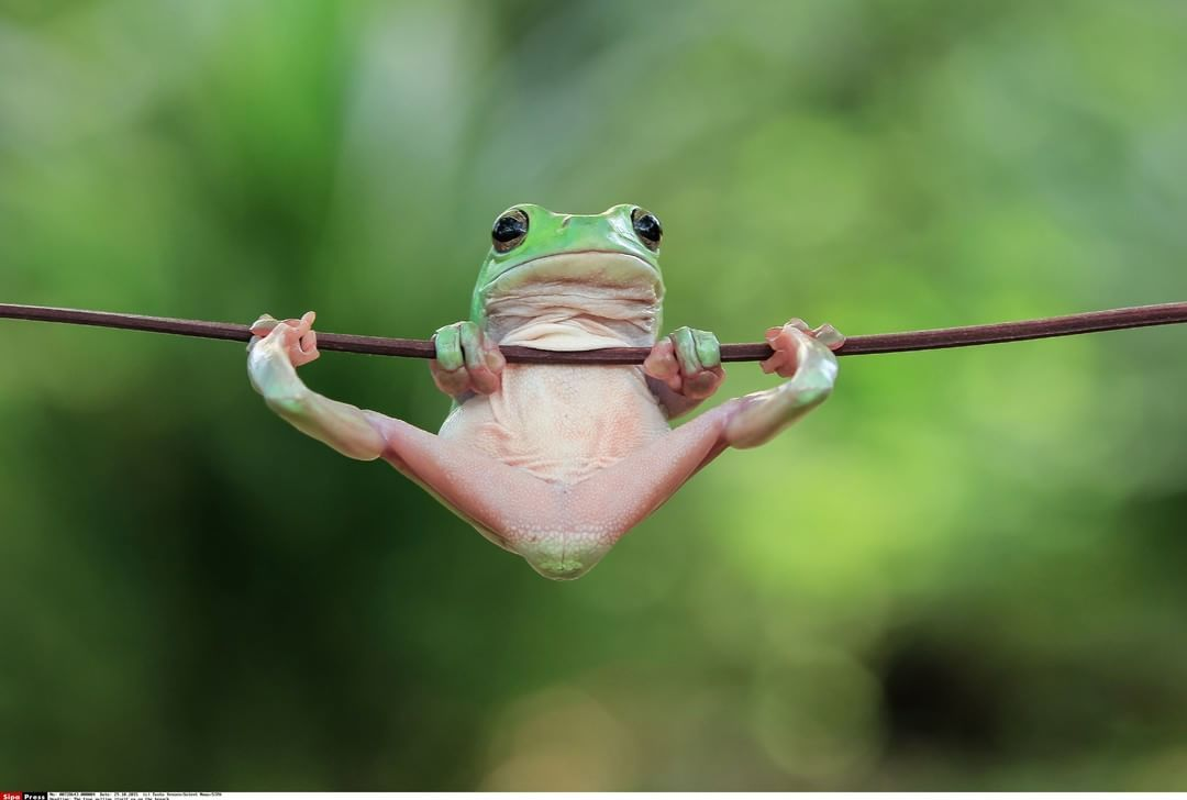 <p>держаться за что-то (за воспоминание/прошлое/руку)</p>