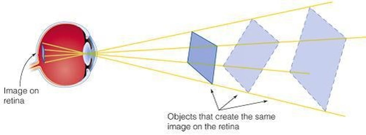 <p>A visual illusion that demonstrates how context can affect perception, showing the same effect whether inducing lines are consciously seen. an example of inattentional blindness </p>