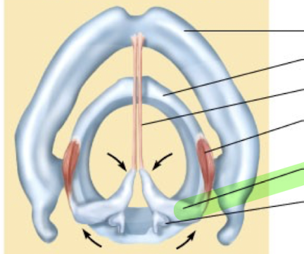 <p>What is this structure?</p>